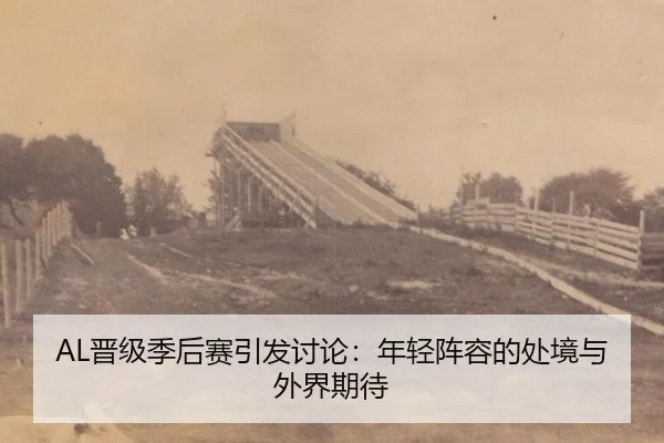 AL晋级季后赛引发讨论：年轻阵容的处境与外界期待