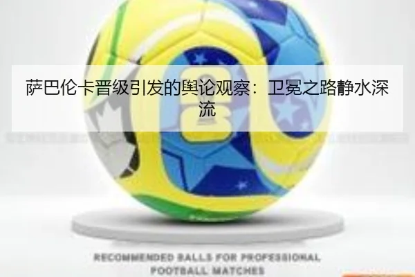 sa-ba-lun-ka-jin-ji-yin-fa-de-yu-lun-guan-cha-wei-mian-zhi-lu-jing-shui-shen-liu-2-286.jpg